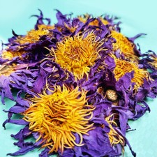 Dehydrated Blue Lotus Flower Nymphaea Caerulea Deep Dreams Tea Stress Relief