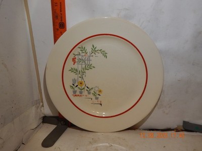 Vintage Rare Steubenville Trend Flower Pots  Desert Plate 10 Inch.