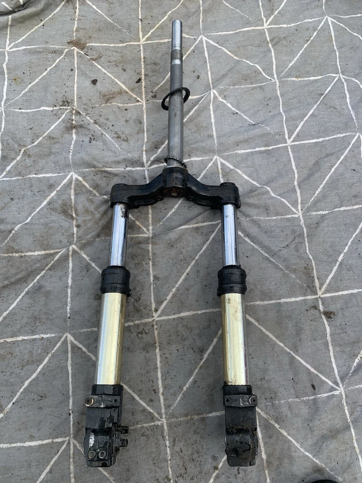 Horquillas de suspensión delanteras de fábrica originales Aprilia Sr50 2005-2017 Foto 2 de 2