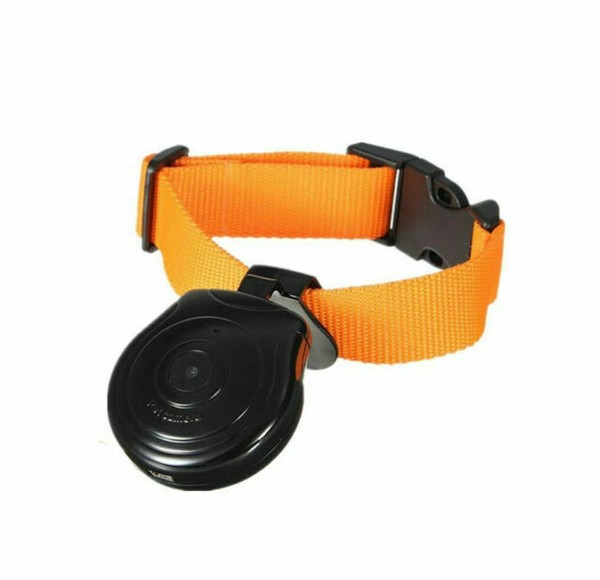 dog collar spy camera