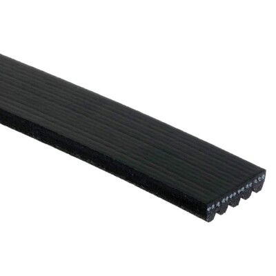 K050368 Gates Serpentine Belt for VW Volkswagen Golf Jetta Passat Beetle Insight