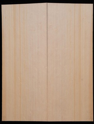 Sitka Spruce #294 Guitar Topwood Dred Size Luthier Tonewood bear claw figure