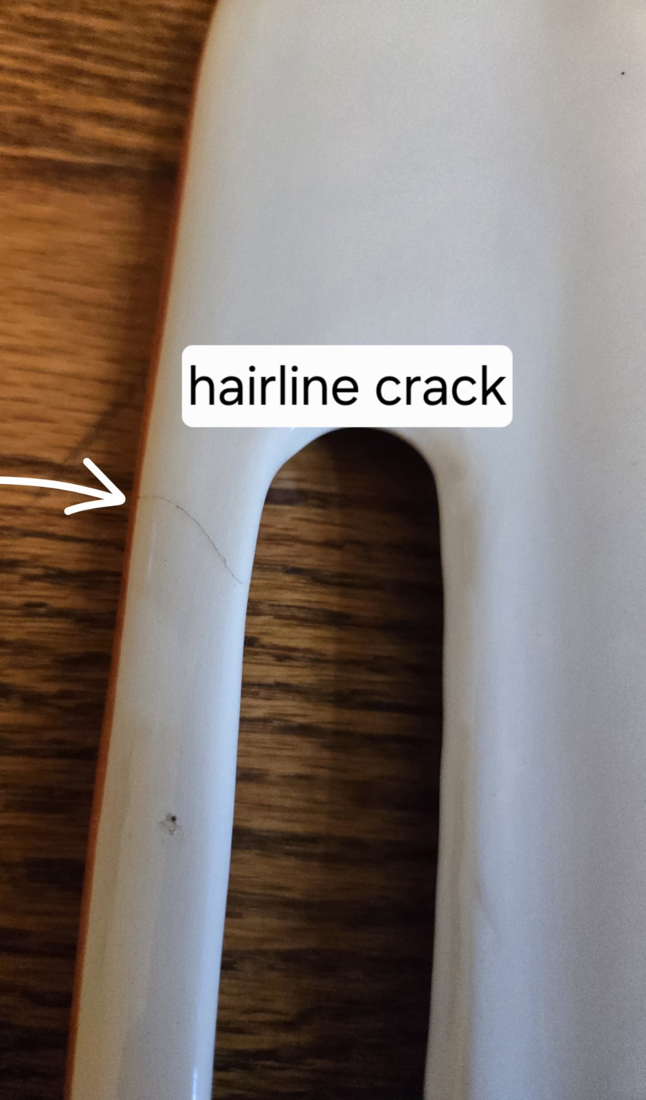 La Primula SRL Made in Italy Signed 17.5 X 13 Inch Tray Colorful Vegetables