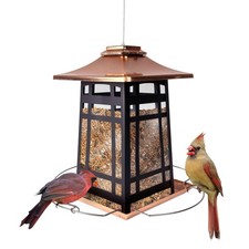 Nature's Way Outdoor Garden D cor Hanging Wild Bird Seed Feeder, Metal Copp