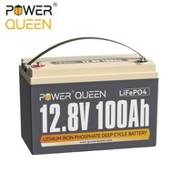 Power Queen 12V 100 Ah Lifepo4 Lithium Batterie 1280Wh Lithium Akku Mit 100A Bms
