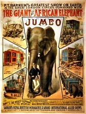Jumbo Giant African Elephant Circus  Poster Print  11 x 17  Giclee Print