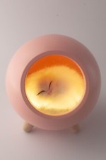  Beautiful Soft Kitty in Pink Bluethooth House with Comforting Warm Light