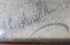 Foto 5 di 6