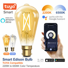 B22 Smart Edison LED Filament Bulb Alexa&Google Compatible 2200K-6500K Tuya App