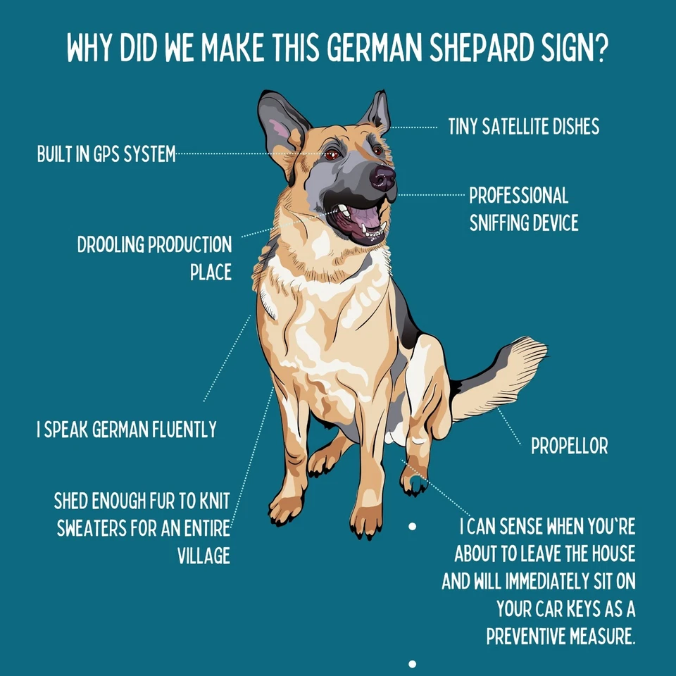 🐾 Letrero de bienvenida de hojalata de metal divertido pastor alemán de servicio, letrero de 8x12 hecho en EE. UU.🐾 Foto 2 de 4