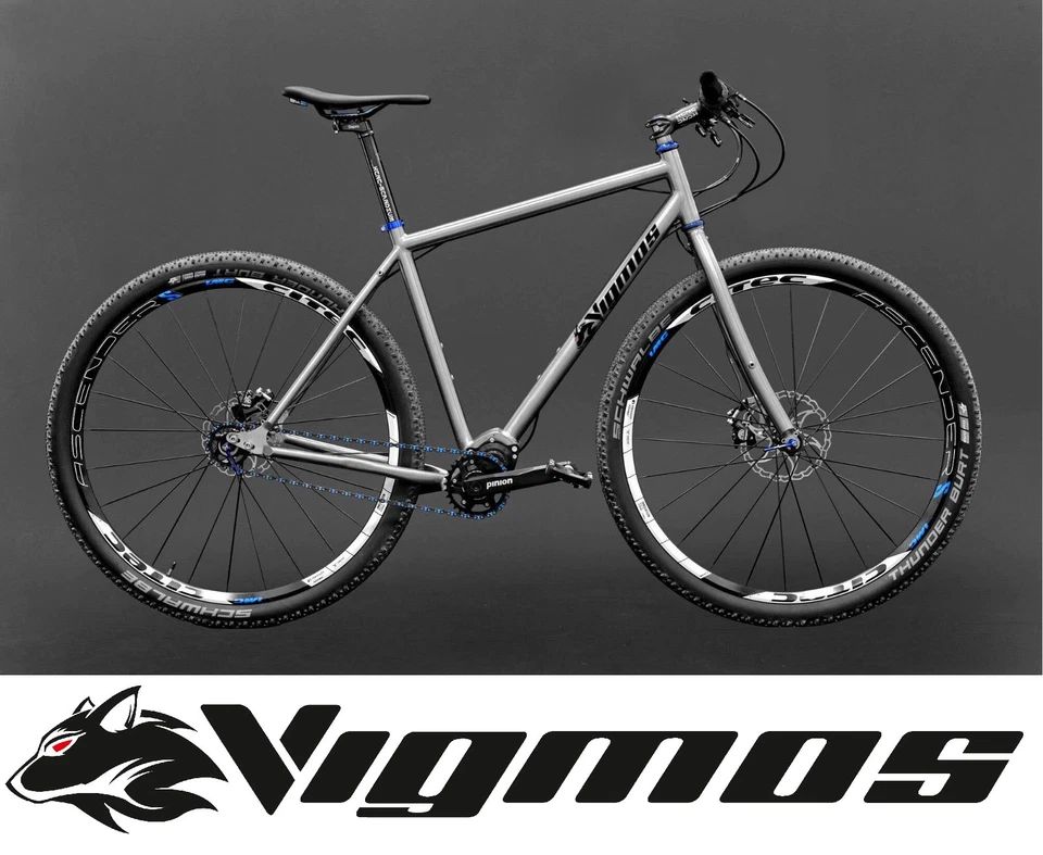 Pinion Velo Titan Rad titanium Reise Stadtrad bike trekking gear Reiserad 28 29