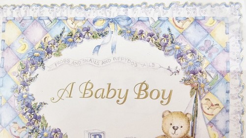Carol's Rose Garden Baby Shower Invitations Cards - A Baby Boy 8 notes/8 envelop - Picture 2 of 4