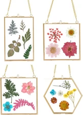 Set of 4 Brass Wall Hanging Photo Frame, Golden Glass Hanging Craft Frames