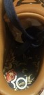 Bild 6 von 11