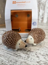 Vintage Hand Painted Hedgehog salt & pepper Shaker Set From Essential Home NIB
