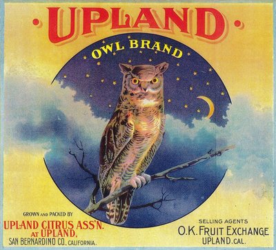 Upland San Bernardino County Dove #2 Orange Citrus Fruit Crate Label Art Print