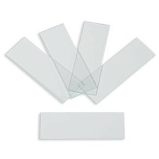 Plain Microscope Slides, Ground Edges, Karter Scientific 206A1 (Case of 3600)