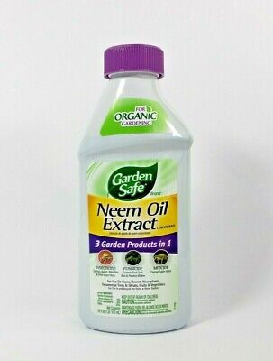 Nude pics 2020 - Vegetable oil masturbation safe Top latex porn