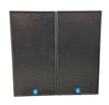 Renkus-Heinz CT6/64G Main Loudspeaker #7349 #7350 (One)THS