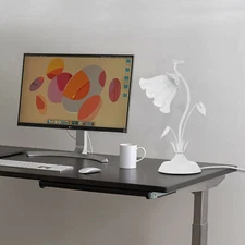Bedroom Desk Light Indoor Decor 40W 110V White Desktop Lamp 110V For Home USA