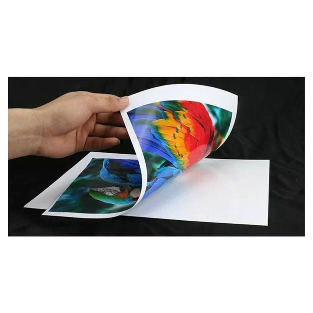 50-Piece Professional White Sprocket Photo Printer Poster Paper Sheets for High-Quality Prints  