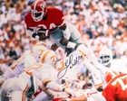 Herschel Walker Signed 16x20 Georgia Bulldogs Beckett COA