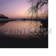 Peter Fellows Lilac Dusk Giclee