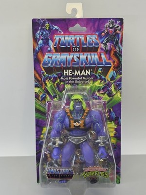 Mattel Masters of the Universe Turtles Of Grayskull He-Man Action Figure  C6