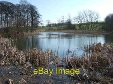Photo 6x4 Goosehill Pond Normanton  c2007