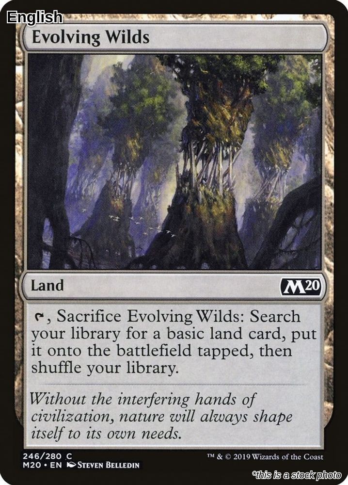 Evolving Wilds 246 Core Set 2020 NM