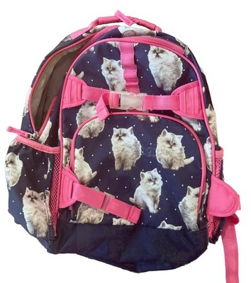Pottery Barn Kids Kitty/Kitten Backpack Mackenzie Style