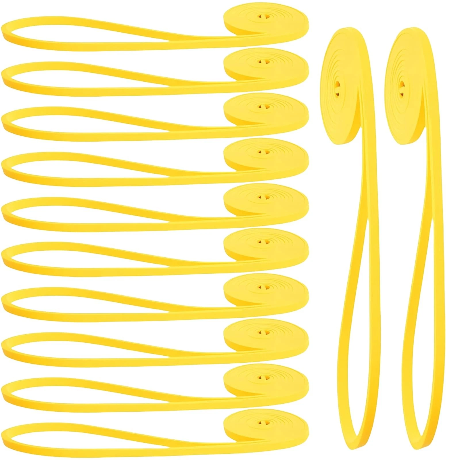 12 Pcs Resistance Bands - Pull Up Assist, Strength Training & Physical Therap...