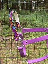 Biothane Horse Halter - Purple Halloween- Average Horse Sized