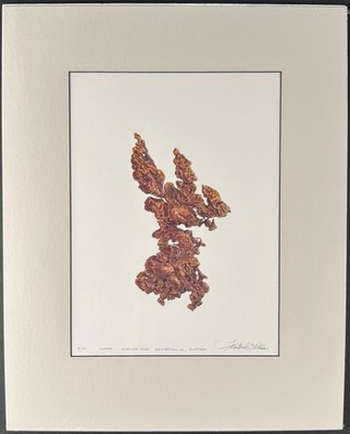 Fred Wilda - Copper - Madison Mine, Michigan - 16'' x 20'' MATTED Mineral Art