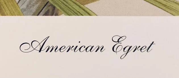 Juego de 2 impresiones artísticas LE "American Egret" y "Great Blue Heron" de Art LaMay-Firmadas Foto 2 de 4