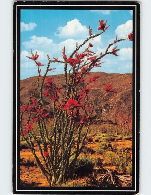 cactus pop art Pop Art Mexico Cactus Art, Synthwave Pink Art, Framed Canvas Print, So main image 1