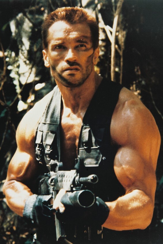 ARNOLD SCHWARZENEGGER IN PREDATOR HUNKY 24x36 inch Poster