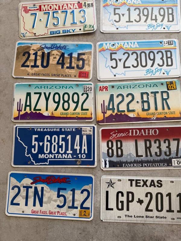 Lot of 10 US license plates from various states for one bid