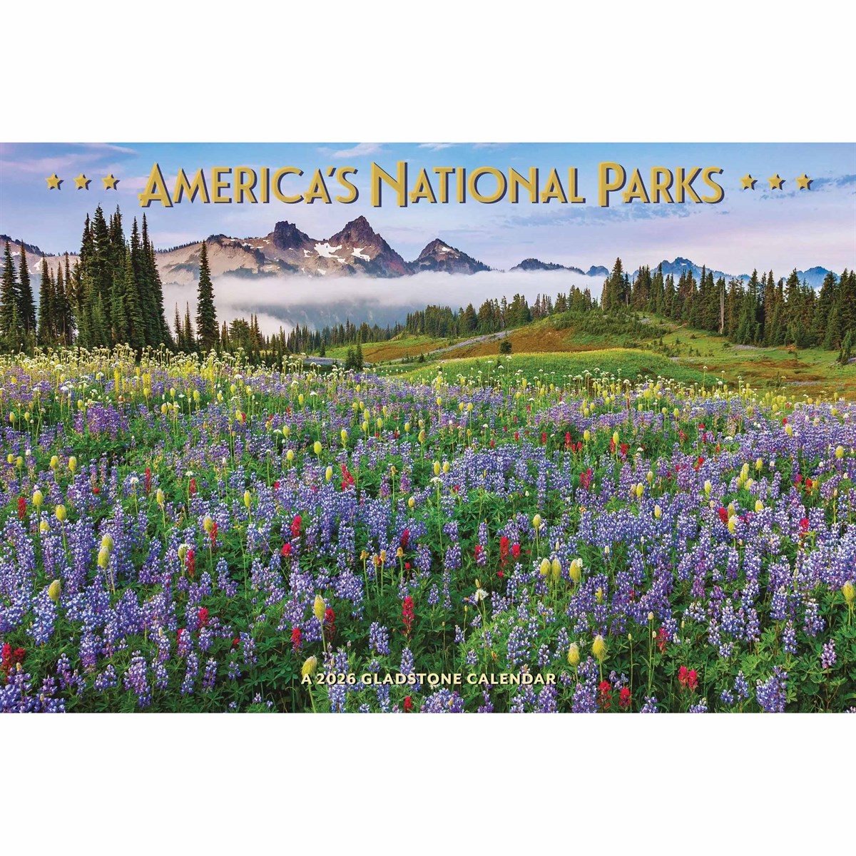 American National Parks Deluxe Calendar 2026, Deluxe Calendars, Gift