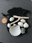 From The Beach Lot: Shells, white Quartz Nature Tumbled, Wish Stone, Driftwood — photo 1