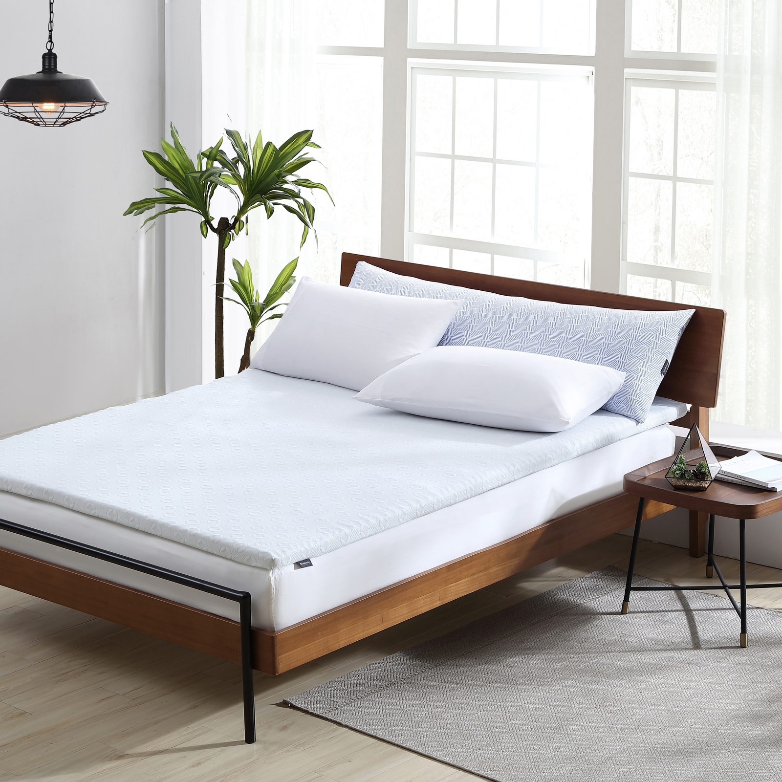 Smithsonian Sleep Collection 2-inch 5 Zone Lavender Infused