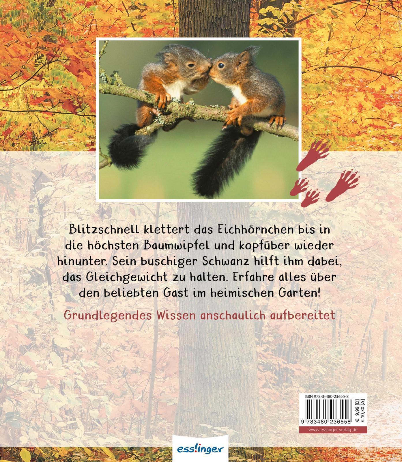 Thumbnail - Meine Große Tierbibliothek: Das Eichhörnchen | Stéphanie Ledu-frattini