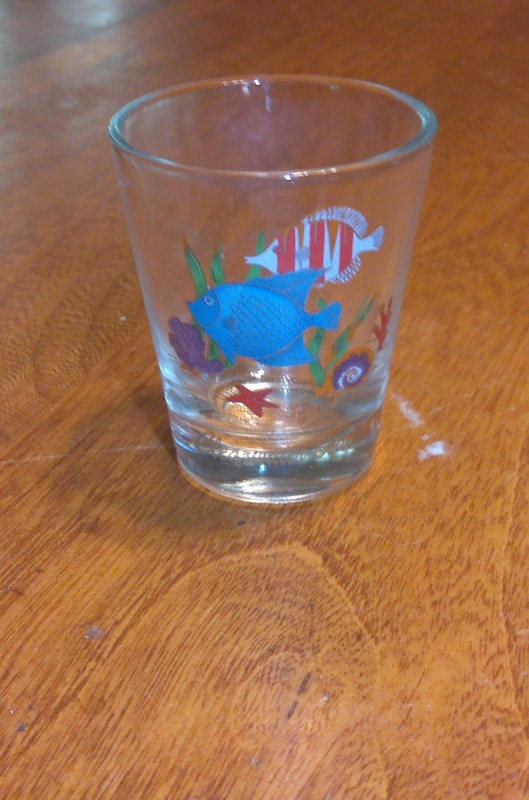 Shot Glass- Little Fishes design-CLEARWATER  Beach Florida-2.4" tall Clear Glass