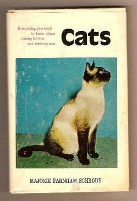 Cats: Everything you need to know about raising kittens and training cats