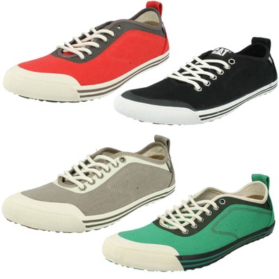 caterpillar onward canvas