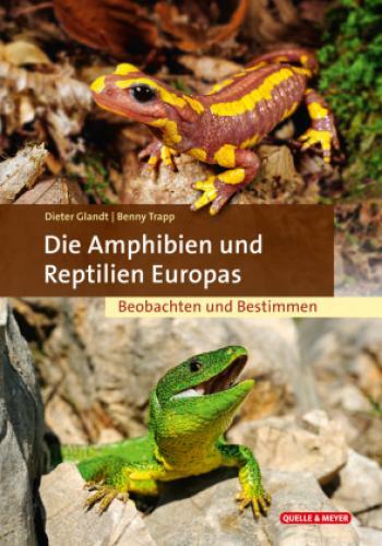 Thumbnail - Die Amphibien Und Reptilien Europas Beobachten Und Bestimmen 6277