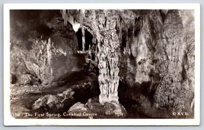 RPPC~New Mexico~First Spring @ Carlsbad Caverns Natl Park~Real Photo Postcard