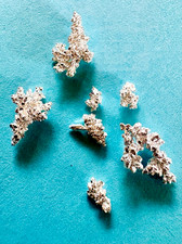 1.274 grams Dendritic .9999 Pure Crystallized Silver Pieces , beautiful pieces
