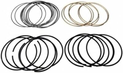 New Genuine Mopar Engine Piston Ring Set Complete (2016-2025) OE 68298025AB