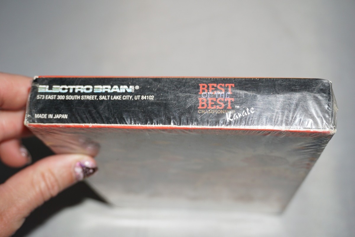 Best of the Best: Championship Karate (Nintendo Entertainment